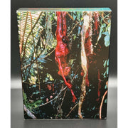 Predator Full Slip XL Steelbook Collector's Edition box with jungle scene.