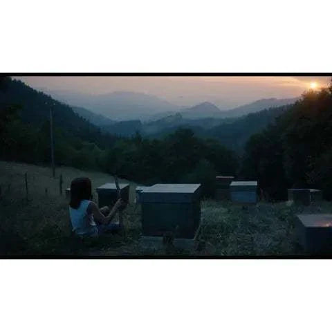 Film Movement - 20,000 Species of Bees Blu-Ray, scenic Basque countryside at sunset